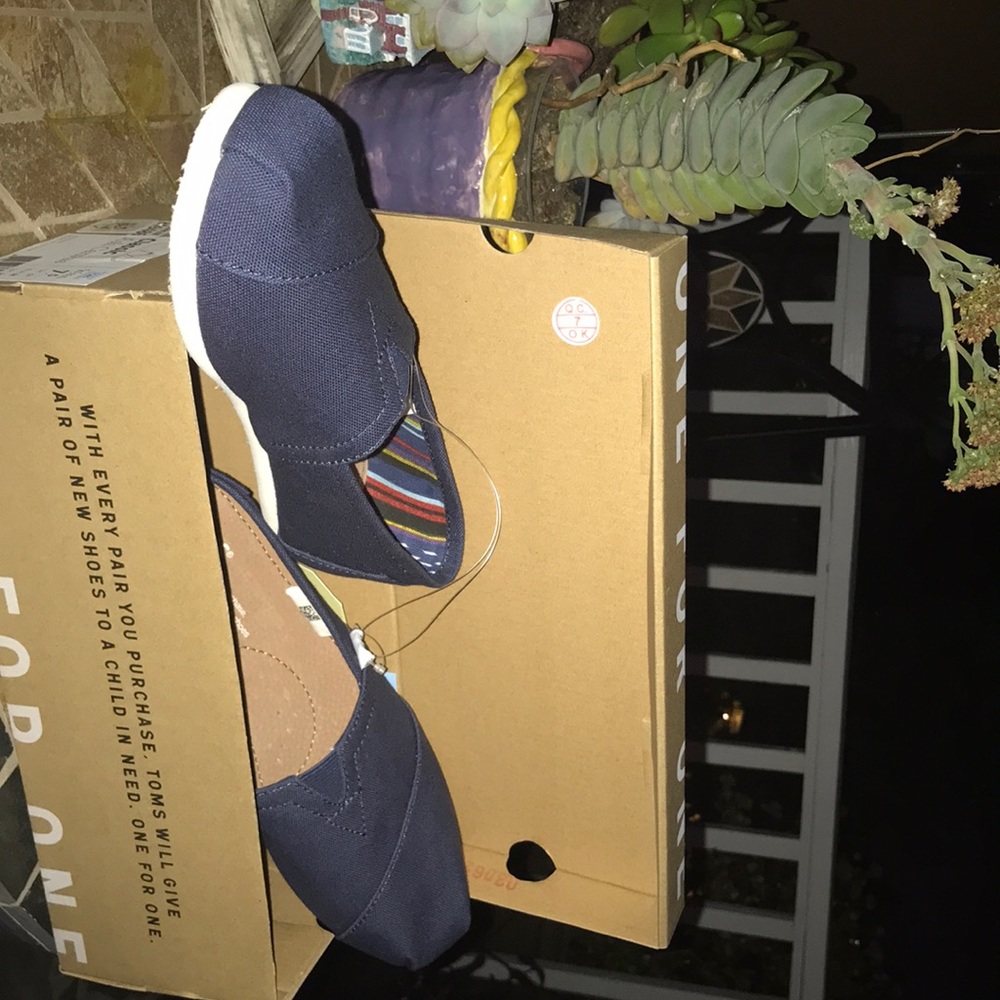 Tom classic Ash Canvas